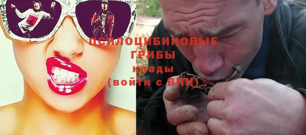 стафф Абаза