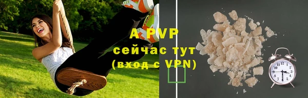 стафф Абаза