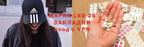 прущие грибы Абдулино